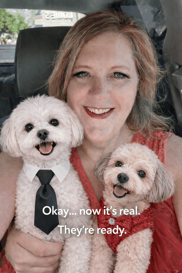 Marci, founder of A Walk in the Park, with her dogs Poncho and Zoey